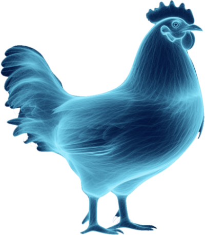 Poultry species